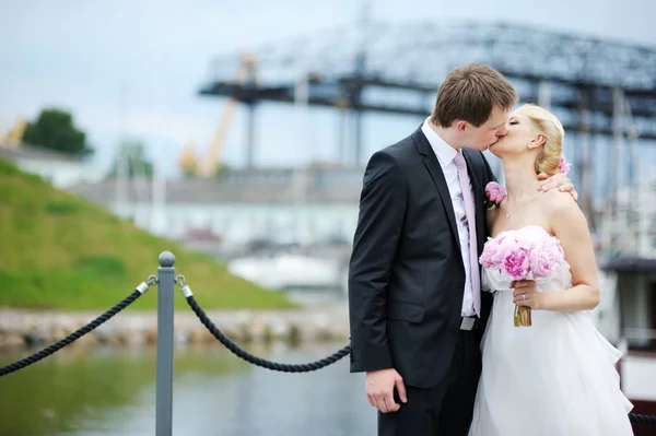 Bride and groom — Stock Photo, Image