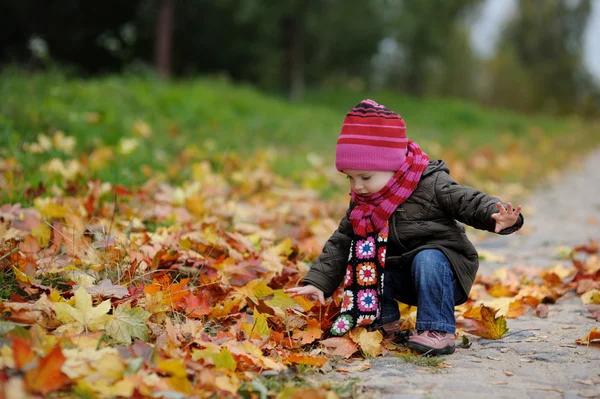 Bir sonbahar Park küçük bebek — Stok fotoğraf
