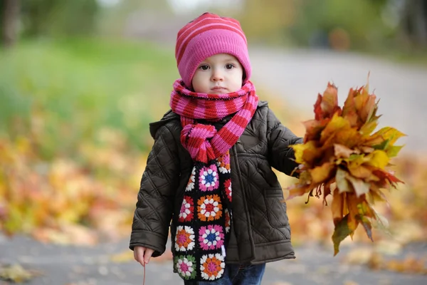 Pequeno bebê em um parque de outono — Fotografia de Stock