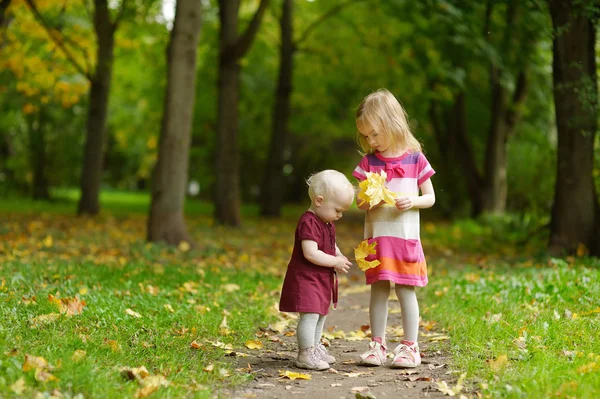 Twee zusters op mooie herfstdag — Stockfoto