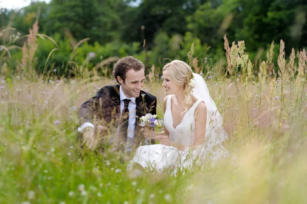 Bride and groom sitting in a meadow — Stock Photo, Image