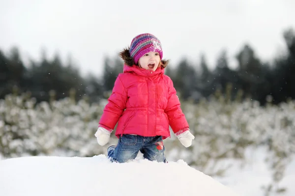 Petite fille s'amuser à l'hiver — Photo