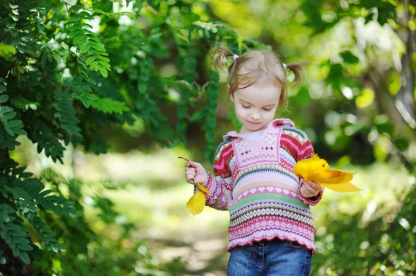 Schattig peuter in een herfst park — Stockfoto