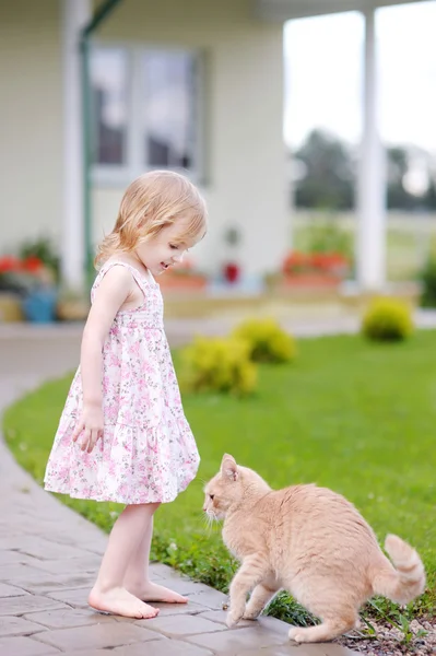 Adorabile ragazza in età prescolare e un gatto all'aperto — Foto Stock