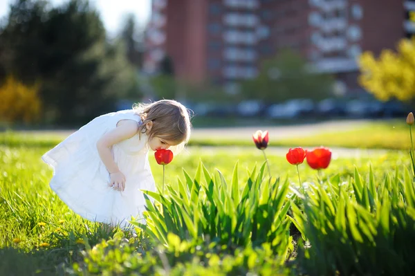 Schattig meisje ruiken een tulp — Stockfoto