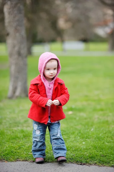 Adorable toddler in an autumn park — Stock Photo, Image