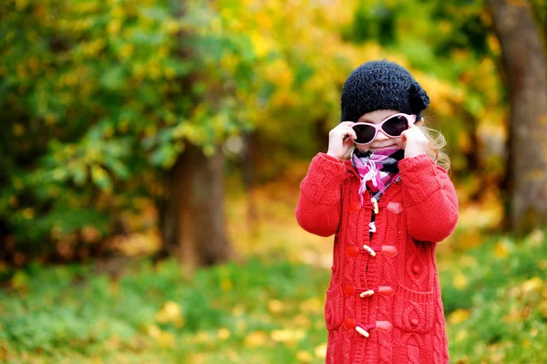 Entzückendes kleines Mädchen an einem Herbsttag — Stockfoto