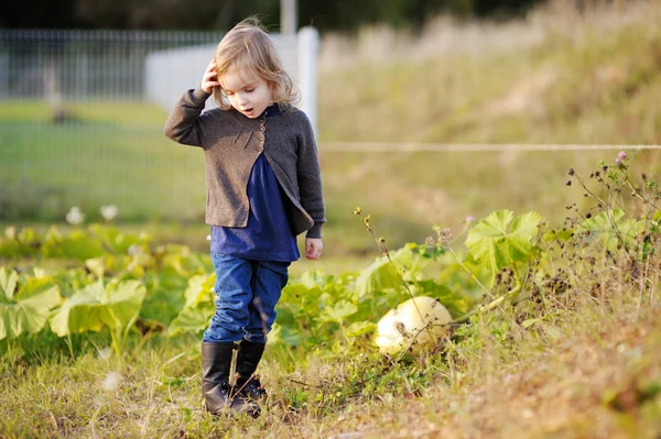 Little girl at autumn park — Stock Photo, Image