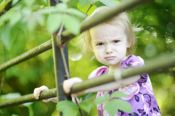 Arrabbiato bambino ragazza — Foto Stock