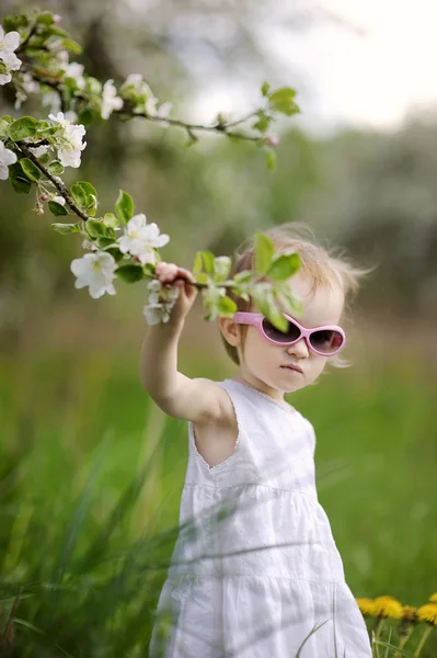 Deux ans tout-petit fille et arbre en fleurs — Photo