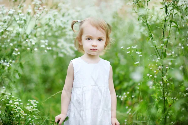 Αξιολάτρευτο μικρό παιδί κορίτσι σε ένα λιβάδι — Φωτογραφία Αρχείου