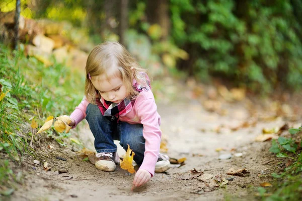 Klein meisje in herfst park — Stockfoto