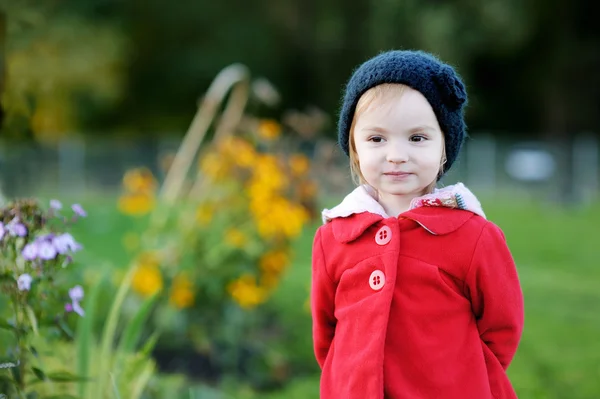 Criança adorável em um parque de outono — Fotografia de Stock