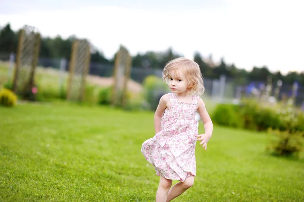 Entzückendes kleines Mädchen auf einer Wiese — Stockfoto