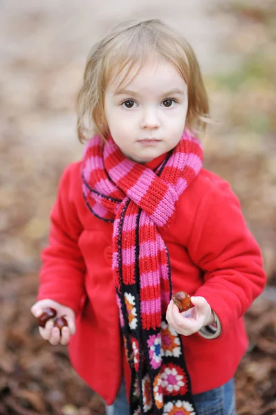 Schattig peuter meisje buitenshuis op herfstdag — Stockfoto