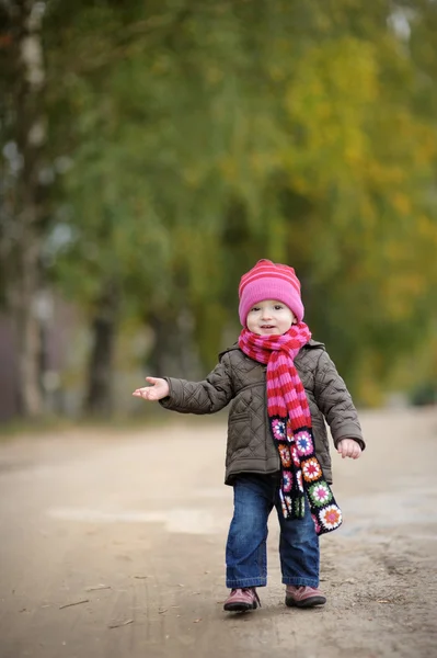 Adorable toddler in an autumn park — Stock Photo, Image