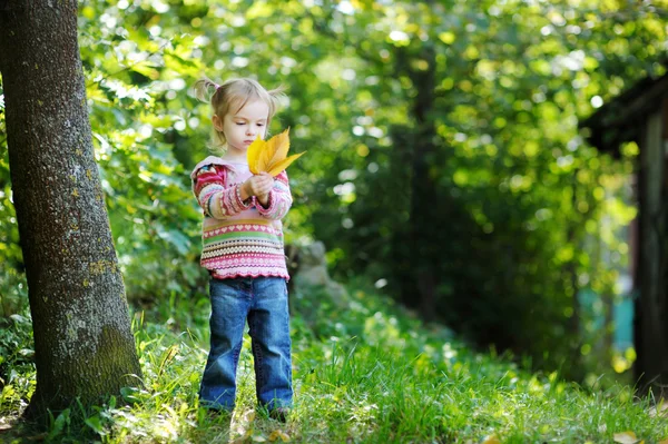 Schattig peuter in een herfst park — Stockfoto