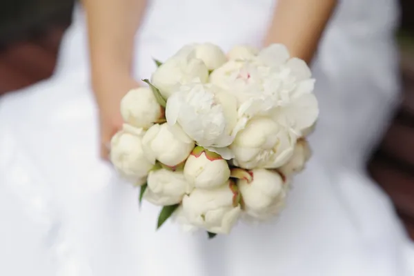 Bruid houden pioenrozen bruiloft boeket — Stockfoto