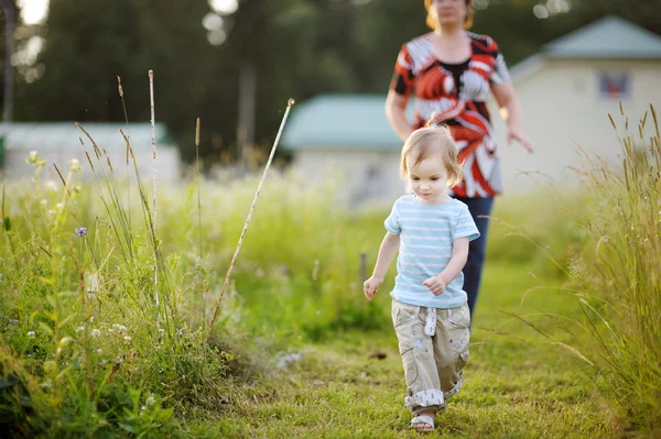 Adorable little girl in a meadow — Stock Photo, Image