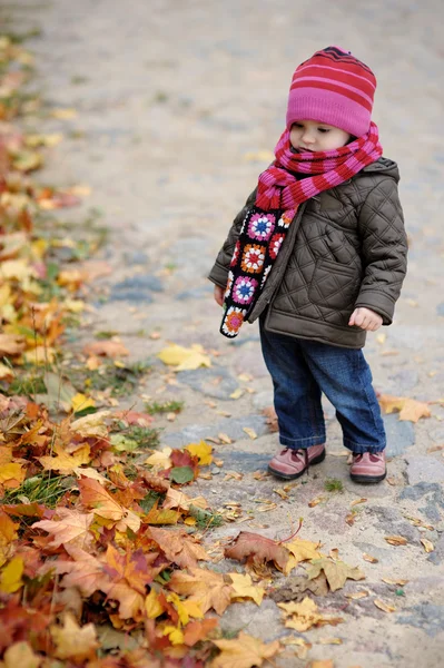 Bebé pequeno em um parque de outono — Fotografia de Stock