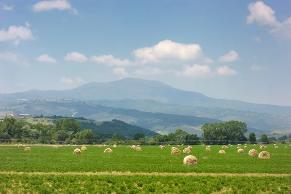 Сельскохозяйственный ландшафт тюков сена — стоковое фото