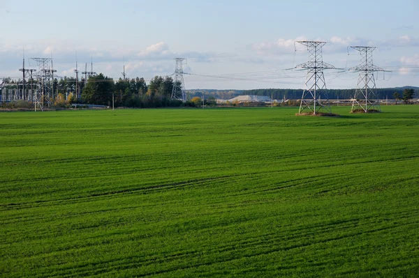 Деревенский пейзаж с линиями электропередач и травяным полем — стоковое фото