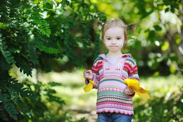 Criança adorável em um parque de outono — Fotografia de Stock