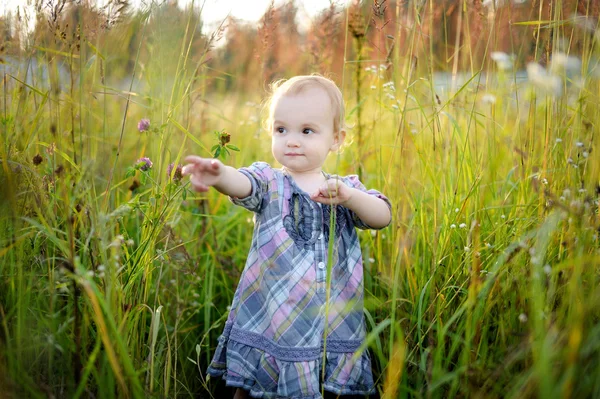 Roztomilé batole dívka — Stock fotografie