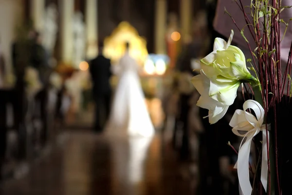Διακόσμηση γάμου λευκό λουλούδι Royalty Free Εικόνες Αρχείου