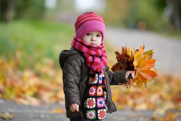 Kleine baby in een herfst park Rechtenvrije Stockafbeeldingen