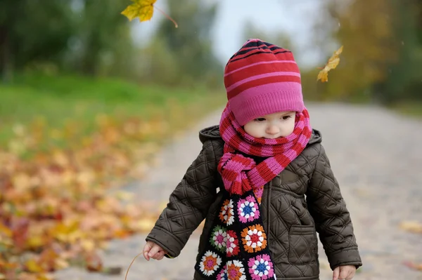 Niño adorable en un parque de otoño Fotos de stock