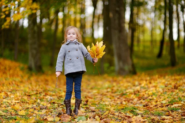 Adorable dziewczyna zabawy na jesienny dzień — Zdjęcie stockowe
