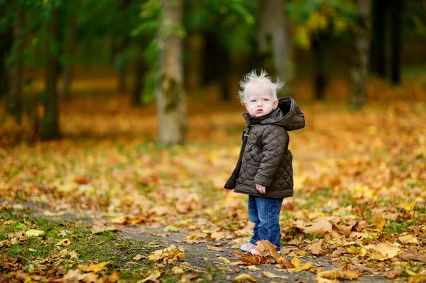 Adorable baby girl having fun on an autumn day — Stock Photo, Image