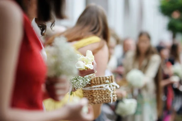 Woman holding rose petals — Stock Photo, Image