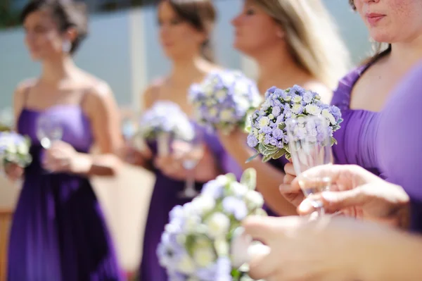 Row of bridesmaids with bouquets — Stock Photo, Image