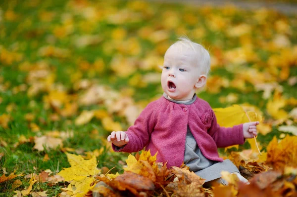 Adorable fille s'amuser un jour d'automne — Photo