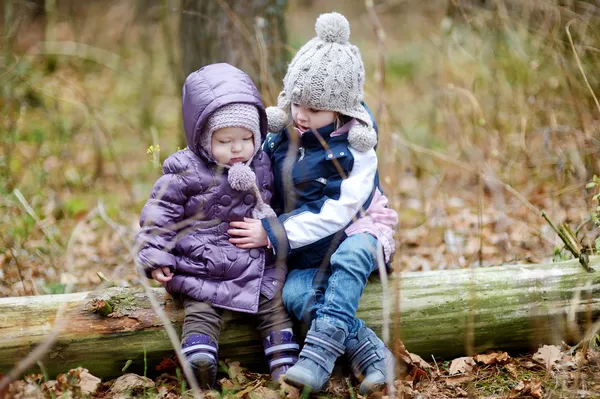 Twee zussen zittend op een boom — Stockfoto