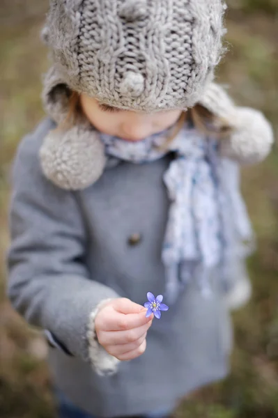 Petite fille tout-petit tenant une fleur d'hepatica — Photo