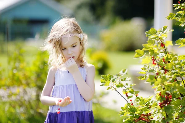 Adorable petite fille aux groseilles rouges — Photo