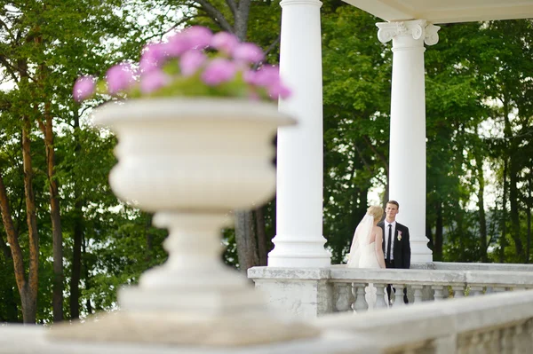 Bella sposa e sposo — Foto Stock