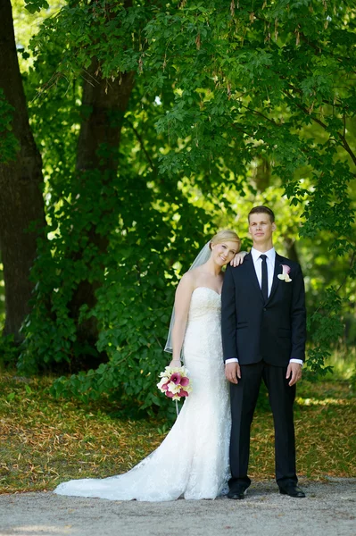 아름다운 신부와 신랑 — 스톡 사진