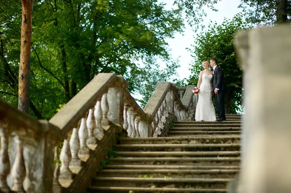 Bella sposa e sposo — Foto Stock