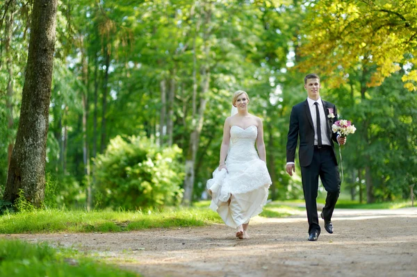 Beautiful bride and groom — Stock Photo, Image