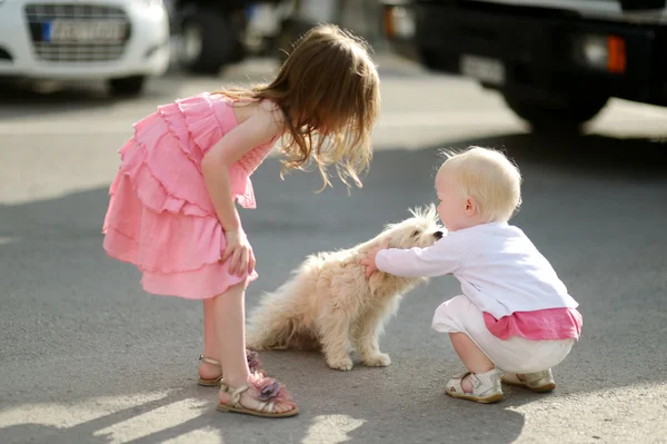 两个女孩遇到了一只小狗 — 图库照片