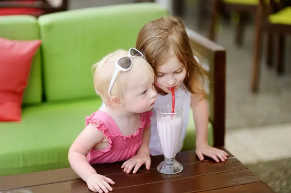Две сестры пьют молочный коктейль — стоковое фото