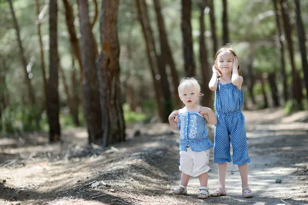 Yaz günü açık havada, iki kız kardeş — Stok fotoğraf
