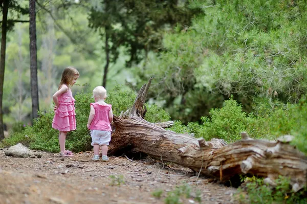 Två systrar med en promenad i skogen — Stockfoto