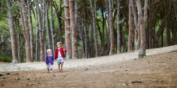 Twee zusters hebben een wandeling in het bos — Stockfoto