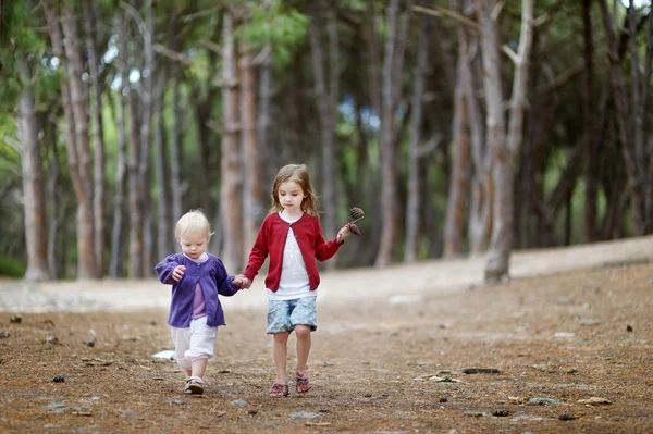 Two sisters having a walk in the woods — Stock Photo, Image