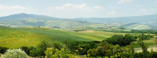 Malerische Landschaft der Toskana — Stockfoto